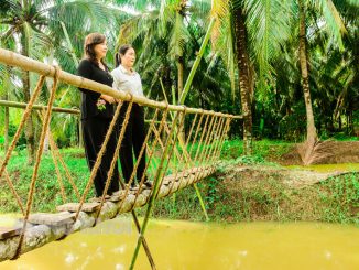 Vườn dừa hữu cơ kết hợp du lịch của bà Nguyễn Thu Hằng ở ấp An Quới, xã Định Thủy