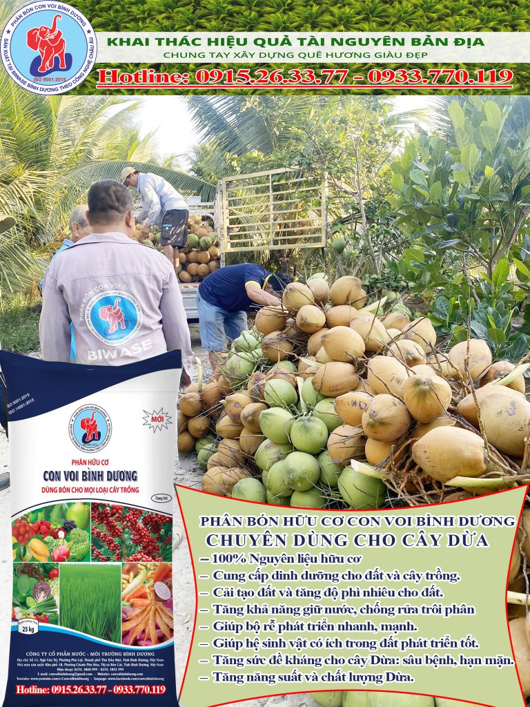 Phân bón hữu cơ Con Voi Bình Dương chuyên dụng cho cây dừa hữu cơ
